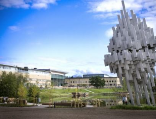 Post-doctoral position in Microbiology at the Cava lab